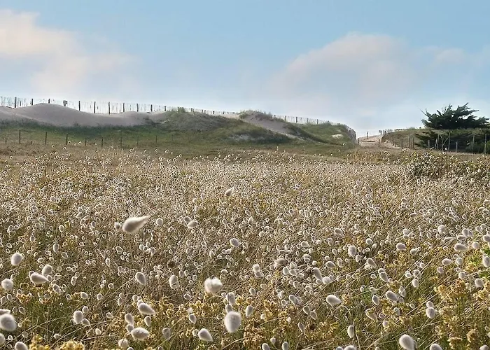 Ba000-08b 3 Pièces- 6 Couchages